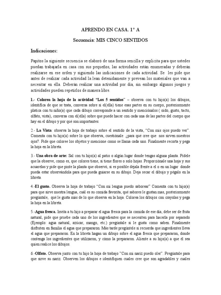 Actividades Sensoriales Para Niños | PDF | Artes Del Lenguaje Y ...