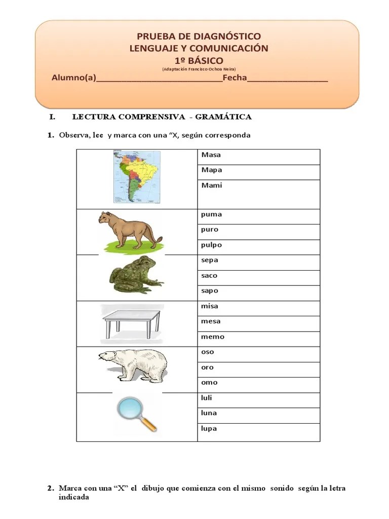 Primero Básico Lenguaje | PDF