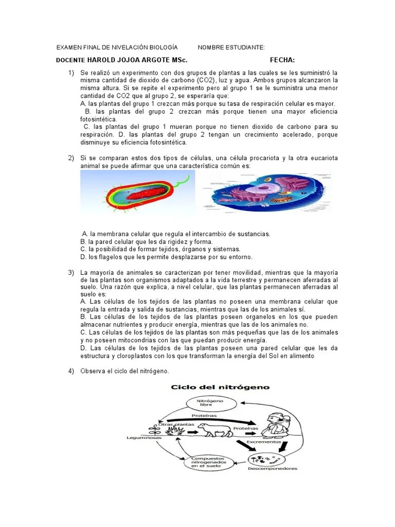 Examen Final 601 | PDF | Plantas | Biología Celular)