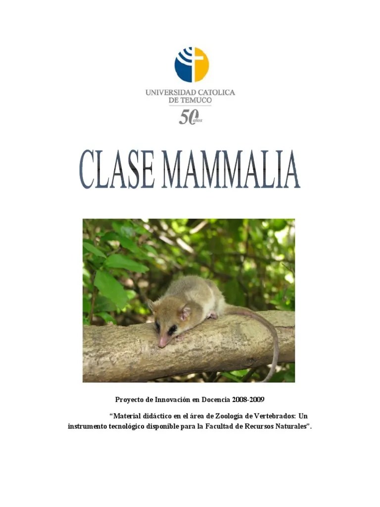 Guia Teórico-Práctico - Mamíferos | PDF | Pulmón | Ojo