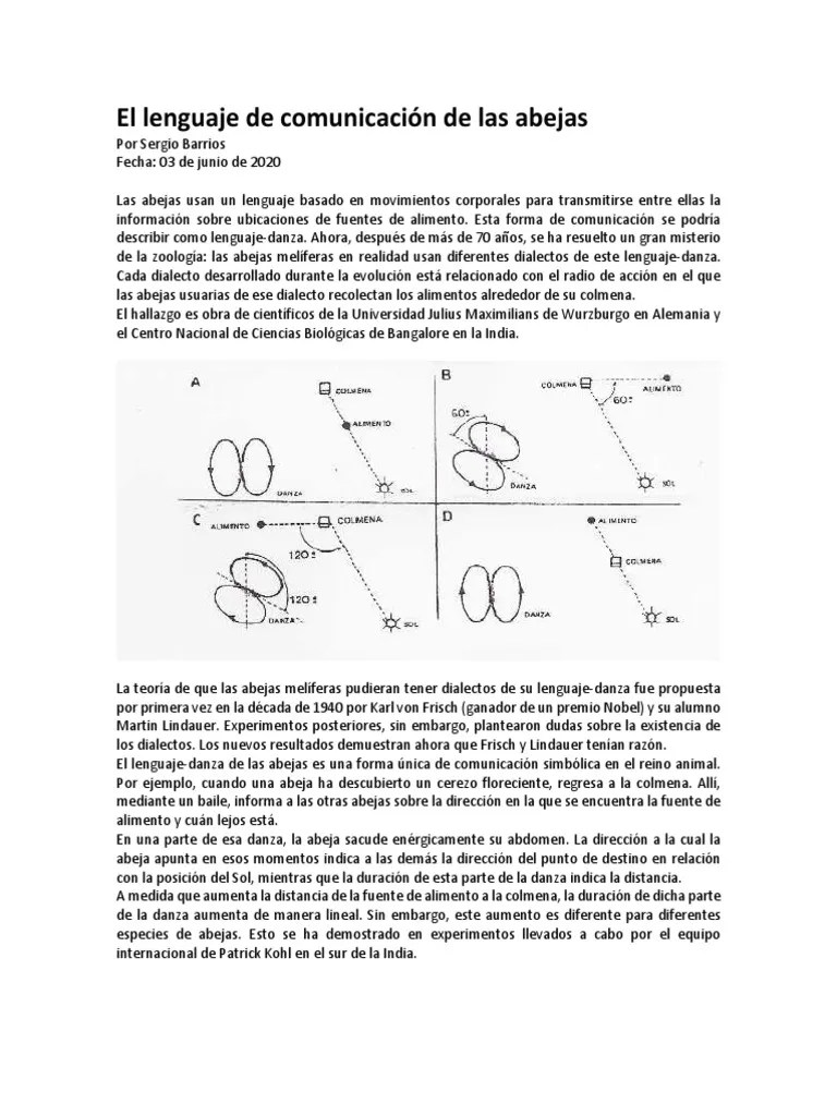 El Lenguaje De Comunicación De Las Abejas | PDF | Western Honey Bee | Abejas