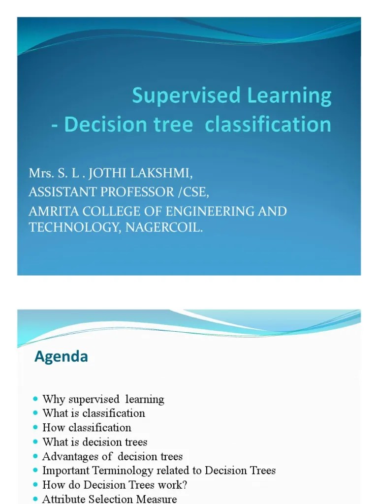 Day 5 Supervised Technique-Decision Tree For Classification PDF | PDF ...