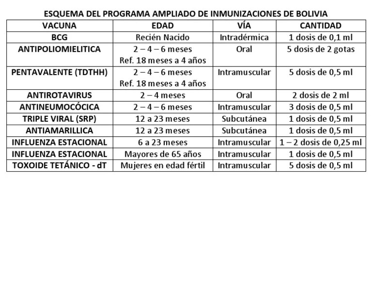 Esquema Del Programa Ampliado De Inmunizaciones De Bolivia | PDF