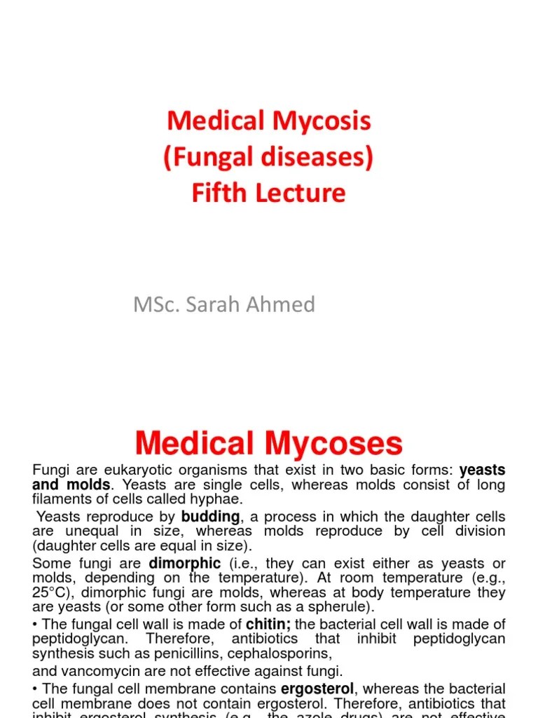 An Overview Of Medical Mycoses: Distinguishing Between Yeasts, Molds, And Types Of Fungal ...