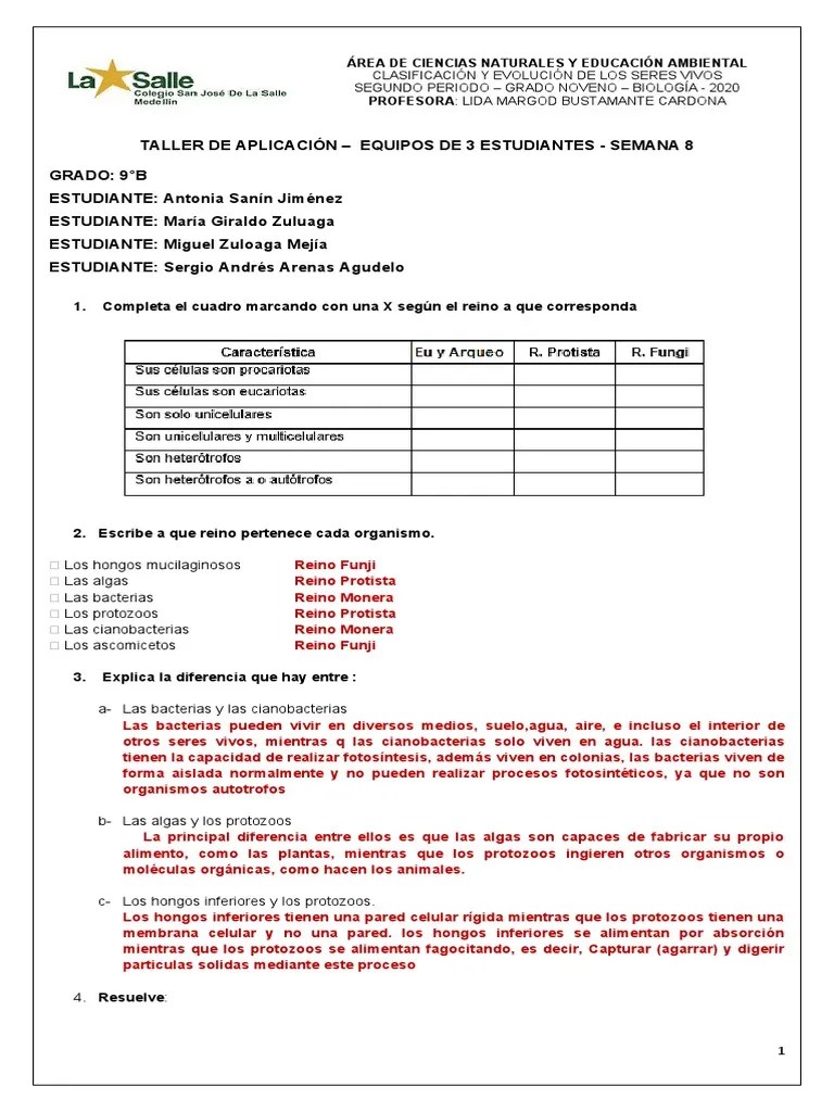 BIOLOGIA TALLER CLASIFICACIÓN Y EVOLUCIÓN DE LOS SERES VIVOS Completo | PDF | Plantas | Protozoos