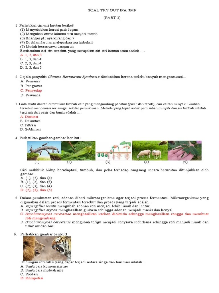Untuk itu perlu mengidentifikasi larutan asam . Soal Try Out Ipa Smp Part 2 Pdf