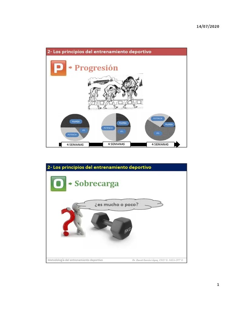 Metodología Del Entrenamiento. DÍA 2 PDF | PDF | Entrenamiento De ...