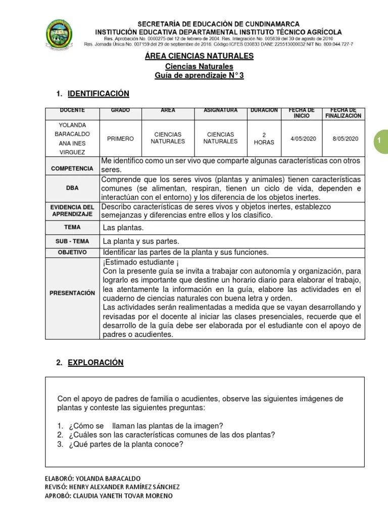 Grado 1° Guía 3 Ciencias Naturales PDF | PDF | Plantas | Fruta