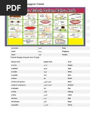 Bagian leher · leher, عُنُقٌ. Bahasa Arab Anggota Tubuh Pdf