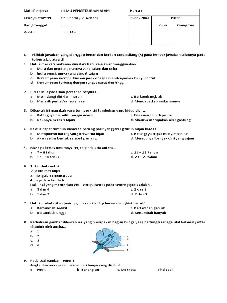 Soal UTS IPA Sem 2 Kls 6 | PDF