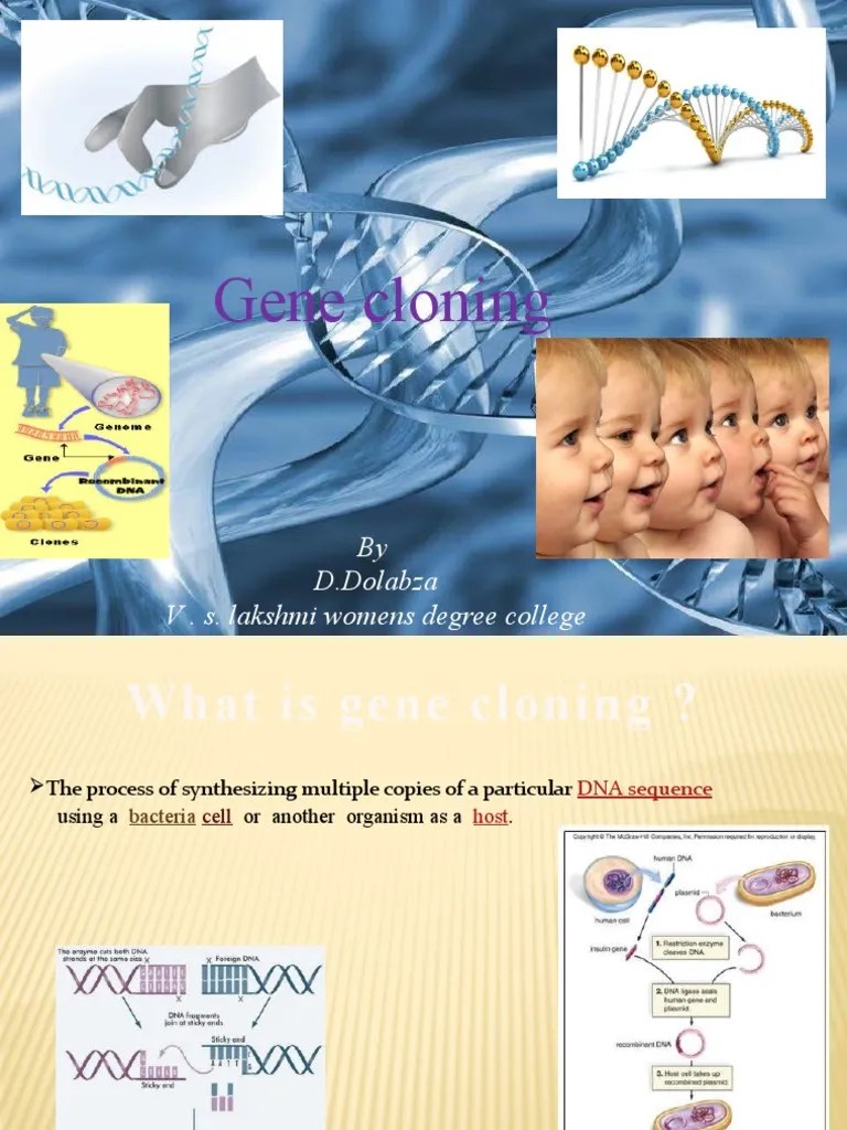 Gene Cloning: An Overview Of The Process, Applications, And Risks | PDF | Molecular Cloning ...
