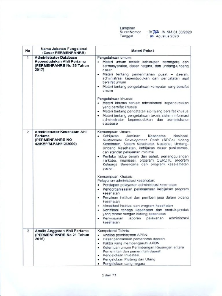 Meteri Pokok Soal SKB Dengan CAT Untuk Seleksi CPNS TA 2019 | PDF