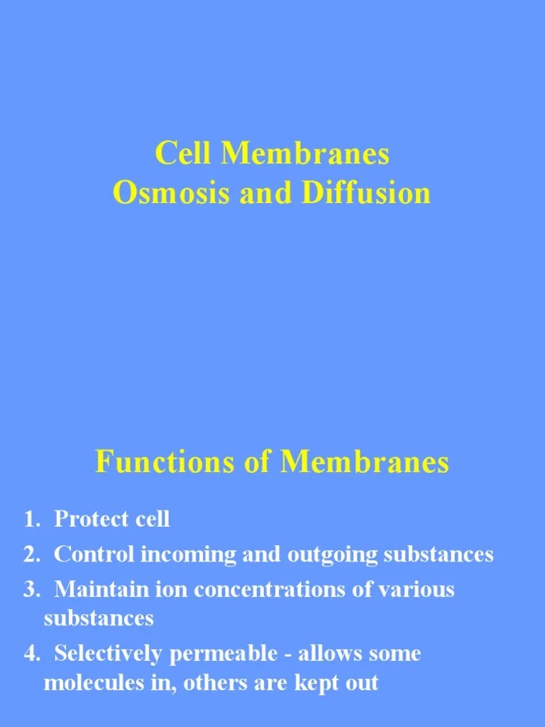 Diffusion | PDF | Osmosis | Cell Membrane