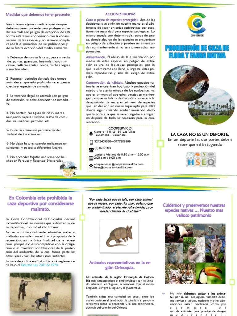Folleto Prohibicion De Caza Preservecion De Especies Nativas PDF | PDF ...