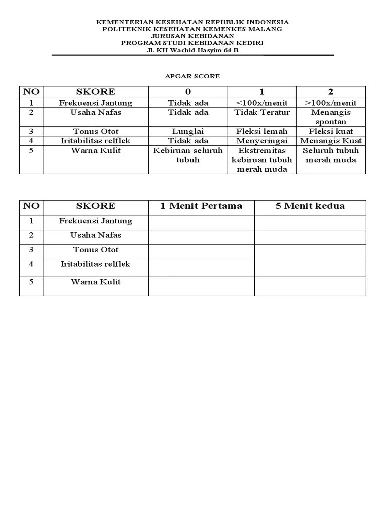APGAR SCORE Untuk Menilai Bayi Baru Lahir | PDF