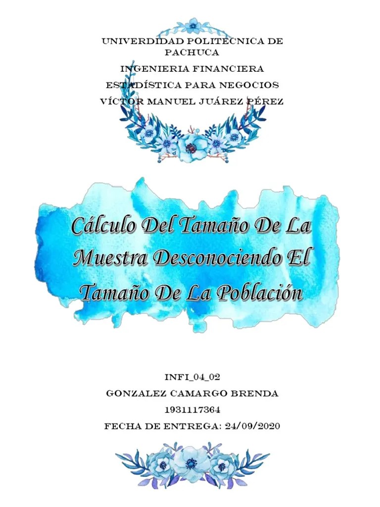 EJERCICIO (Calculo Del Tamaño De La Muestra) PDF | PDF