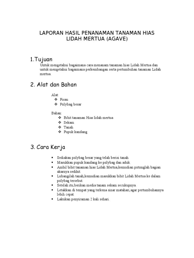 Secara terperinci, struktur teks laporan . Laporan Hasil Penanaman Tanaman Hias Pdf