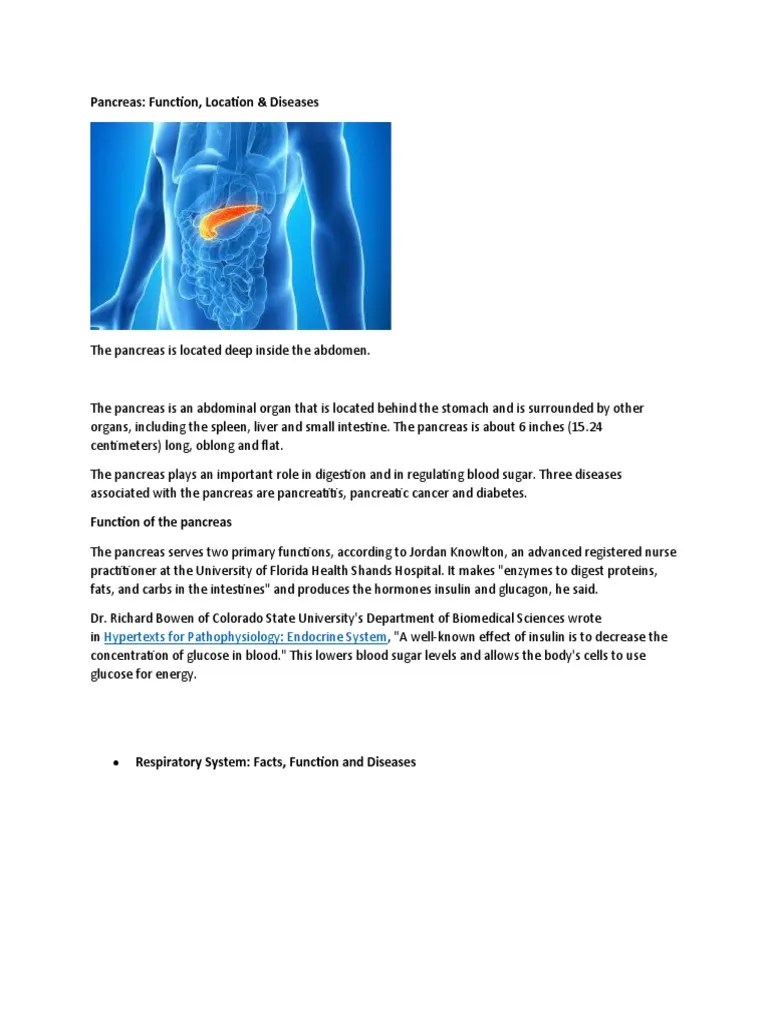 Pancreas: Function, Location & Diseases: Hypertexts For Pathophysiology: Endocrine System | PDF ...