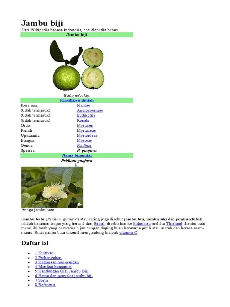 Jambu Biji Dayang Sumbi | PDF