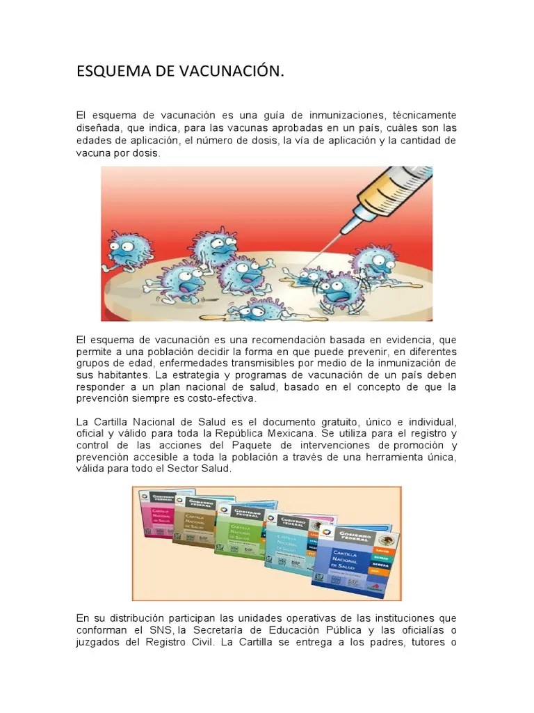 Esquema De Vacunas | Descargar Gratis PDF | Vacunas | Sistema Inmune
