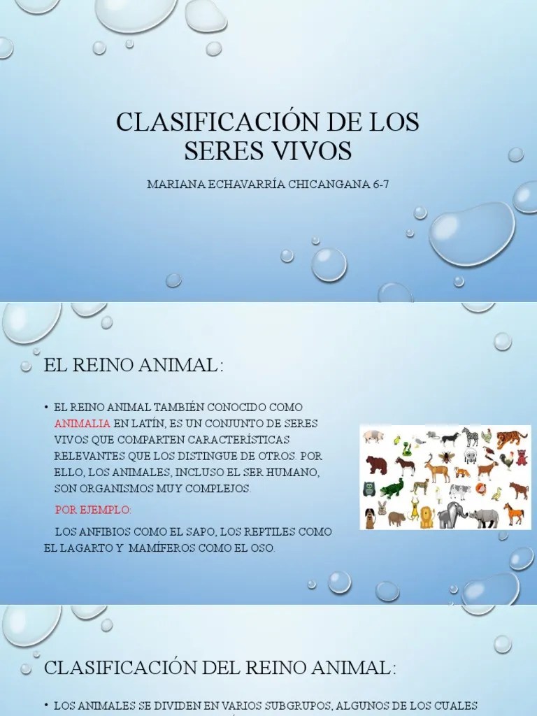 Clasificación De Los Seres Vivos | PDF | Hongo | Plantas