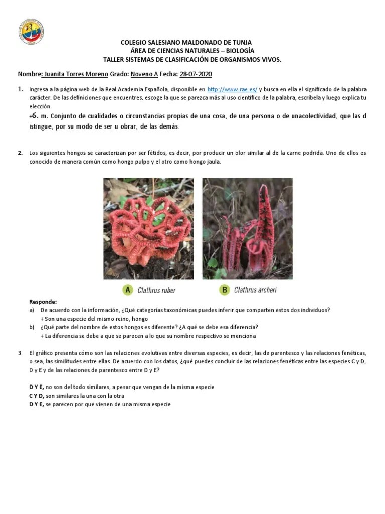 Sistemas De Clasificación De Organismos Vivos. | PDF | Especies | Hongo