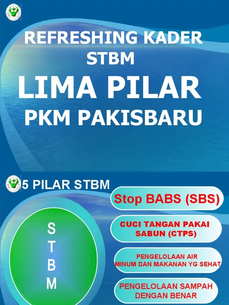Docslide. - 5 Pilar STBM | PDF