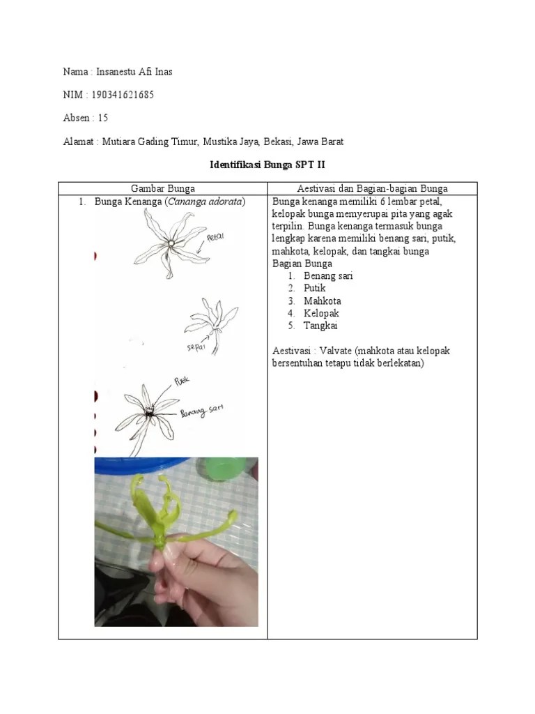 Identifikasi Bunga | PDF
