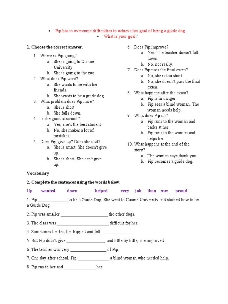 Pip - Worksheet | PDF