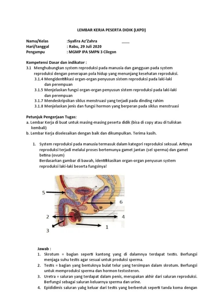 LKPD 2 Ipa Kelas 9 | PDF