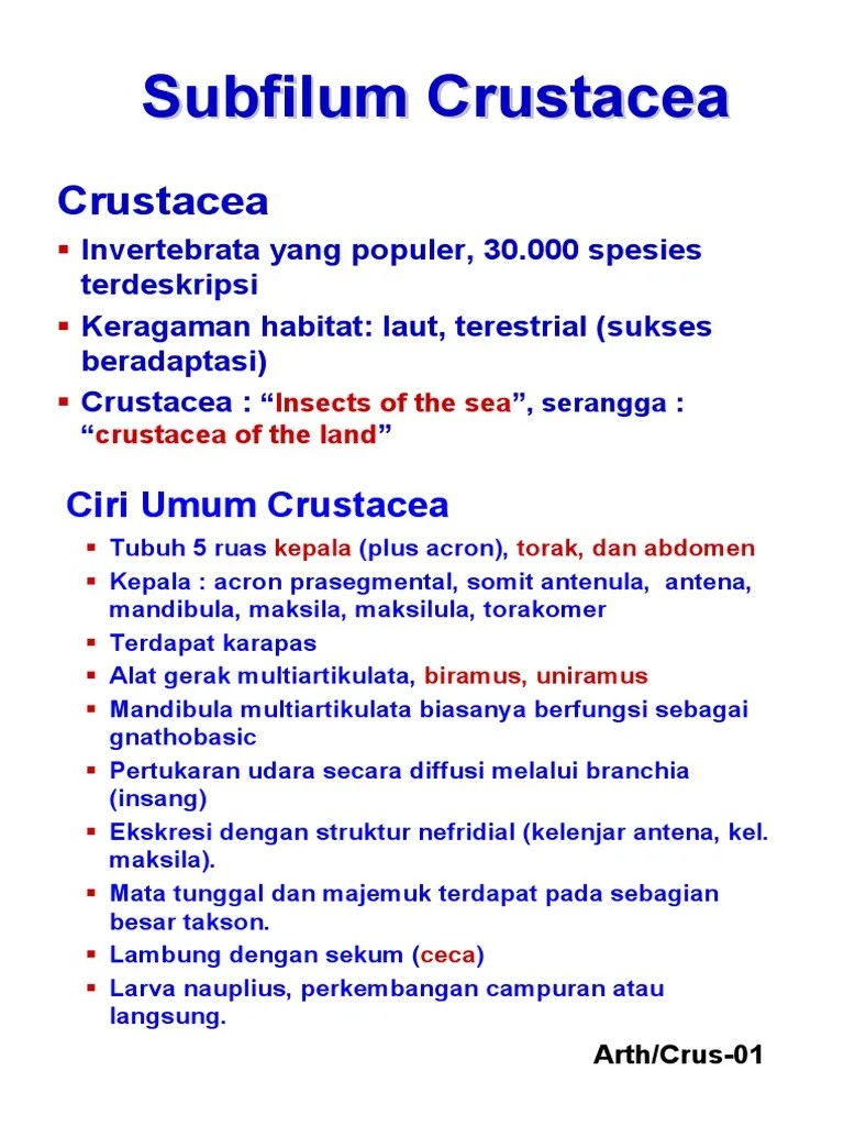 Share 7c - Artropoda - Crustacea | PDF