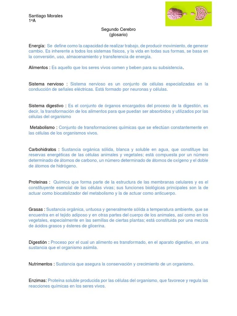 Un Segundo Cerebro PDF | PDF | Digestión | Organismos