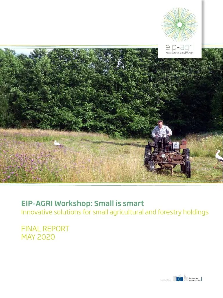 Eip-Agri Workshop Small Is Smart Final Report 2020 En | PDF ...