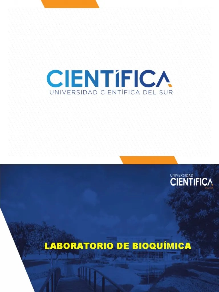 PRÁCTICA 8 Determinación De Triglicéridos Y Colesterol En Suero | PDF ...