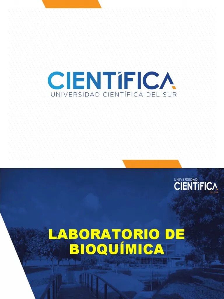 PRACTICA 9 Determinación De HDL Y LDL En Plasma | PDF | Lipoproteína ...