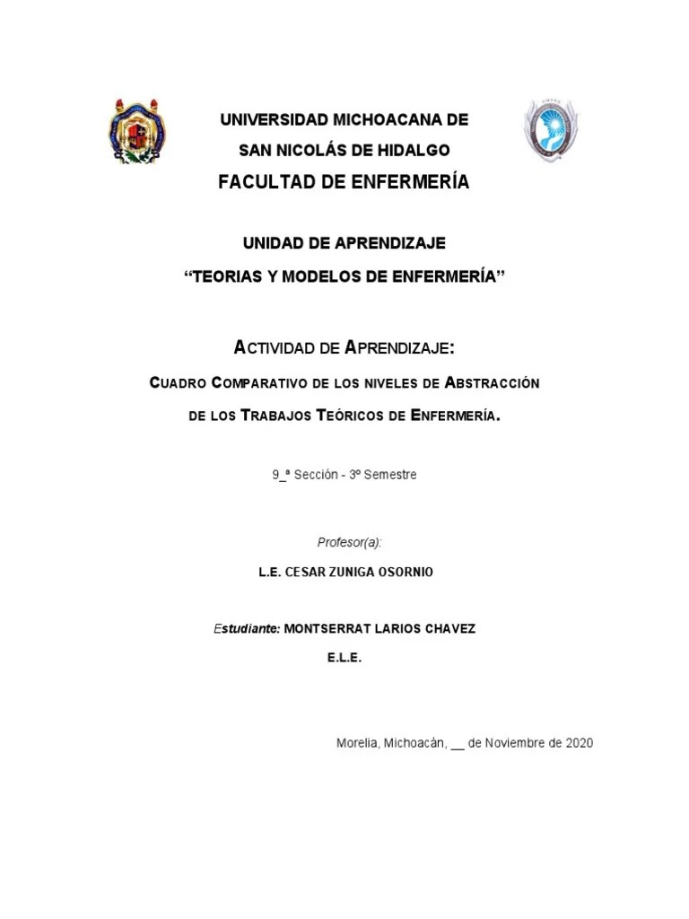 Niveles De Abstraccion | PDF | Enfermería | Teoría