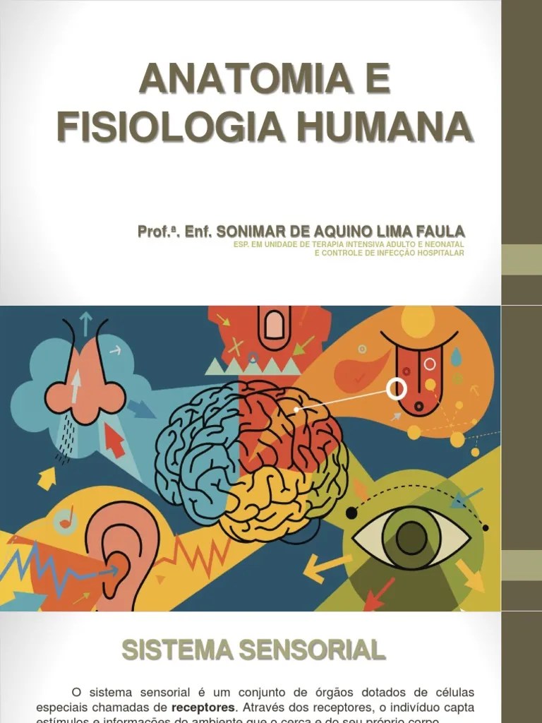 Sistema Sensorial | PDF | Orelha | Olho Humano