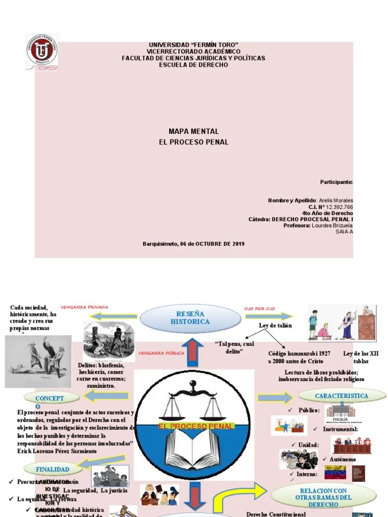 Mapa Mental Procesal Penal | PDF | Derechos Civiles Y Politicos | Ciencias Sociales