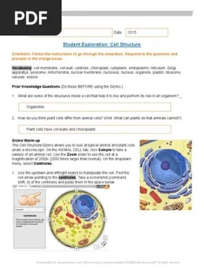 A short quiz to assess your students' understanding of plant and animal cells and the various organelles. Cell Structure Gizmo Eukaryotes Biology