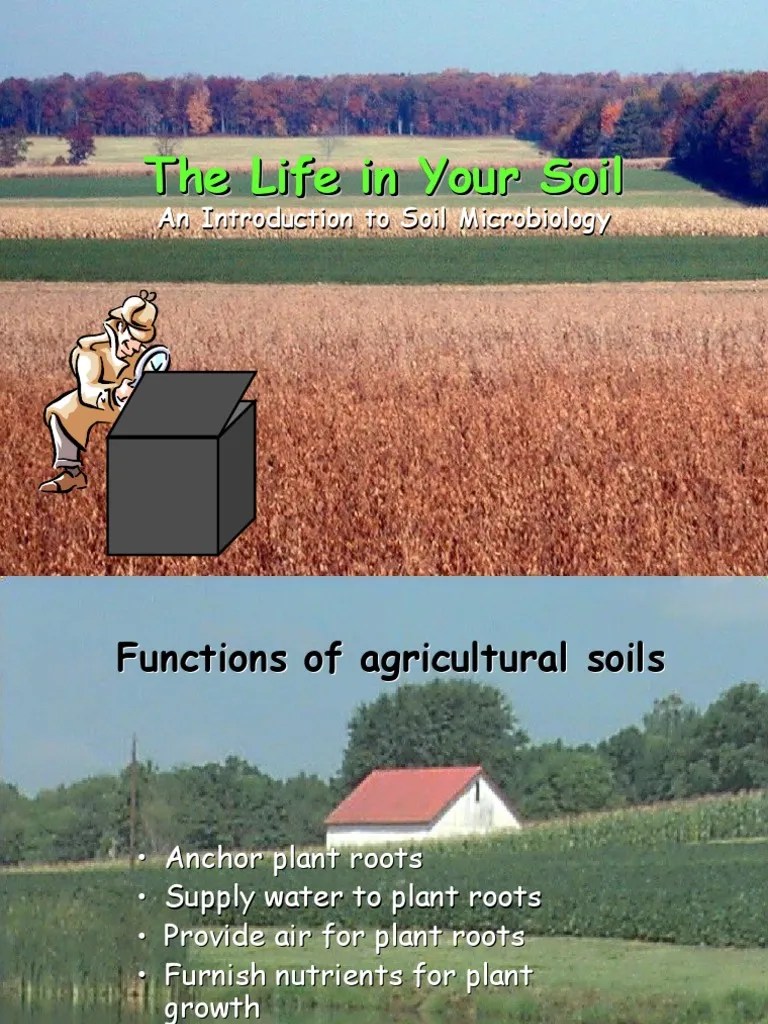 Introduction To Soil Microbiology | PDF | Organic Matter | Decomposition