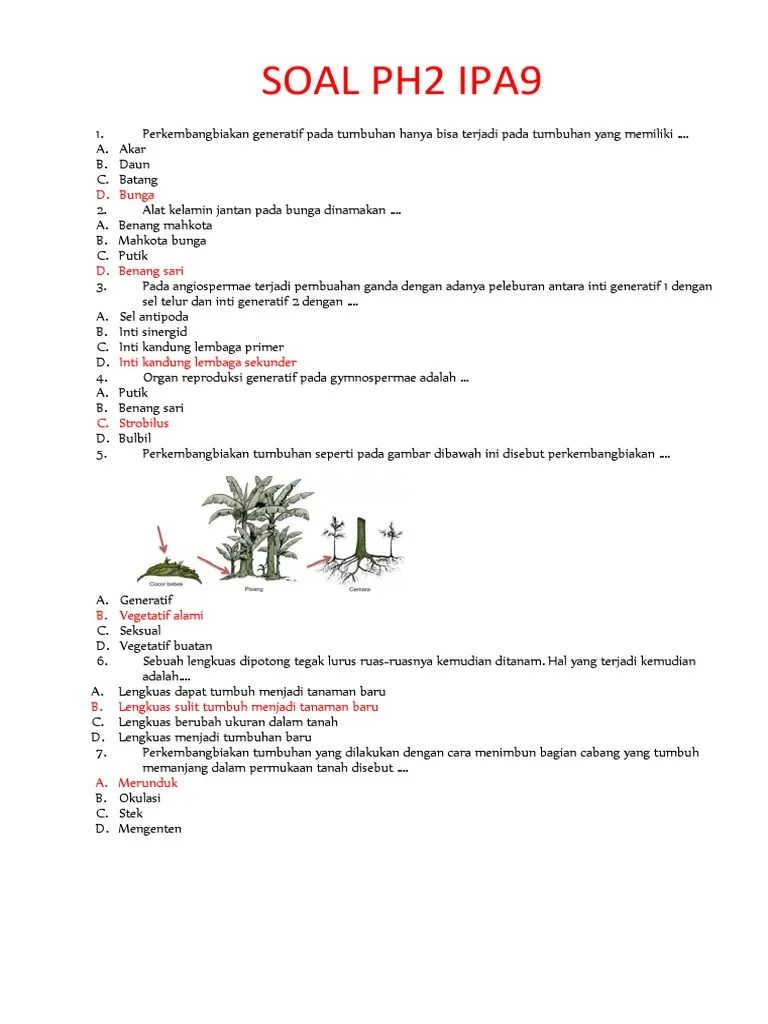 Stek adalah cara mengembangbiakkan tanaman dengan menggunakan bagian dari batang tumbuhan tersebut. Soal Ph2 Ipa9 Pdf