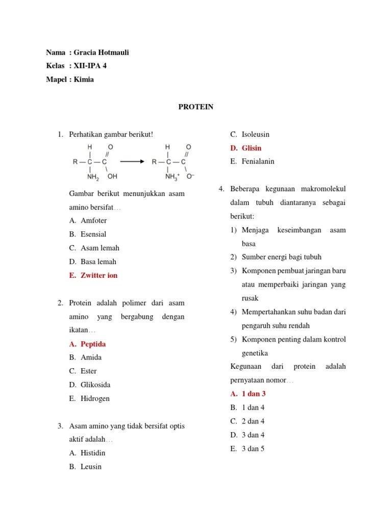 Gracia Hotmauli - Soal Protein