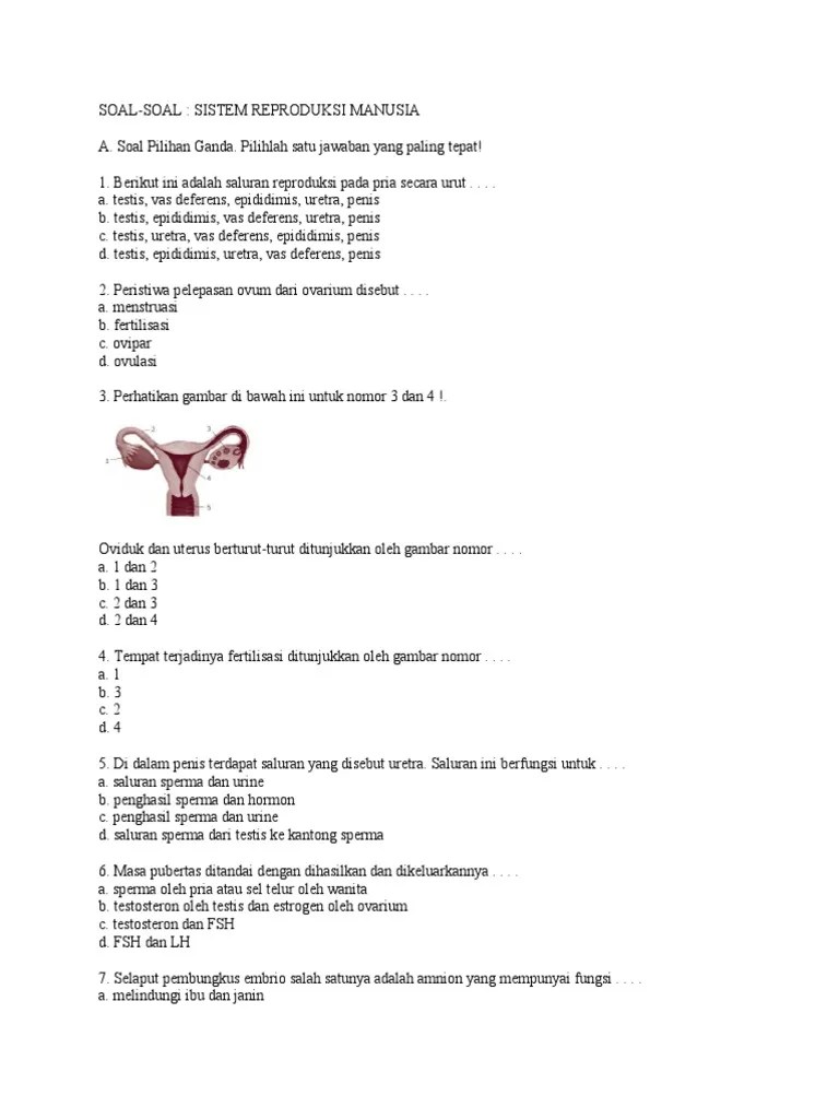 Sistem Reproduksi 1 | PDF