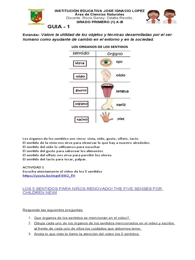 A. GRADO PRIMERO (1°) Guía 1. Ciencias Naturales | PDF | Gusto | Maestros