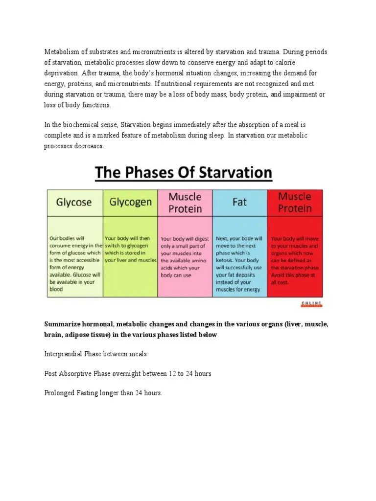 Starvation Biochem Notes | PDF | Starvation | Metabolism