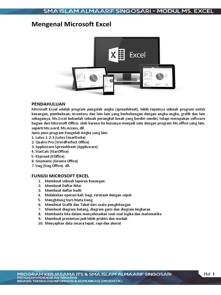 Microsoft Excel 2010 | PDF