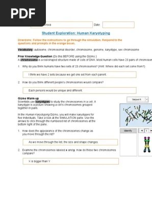 Lettre de motivation campus france economie. Untitled Document Karyotype Chromosome