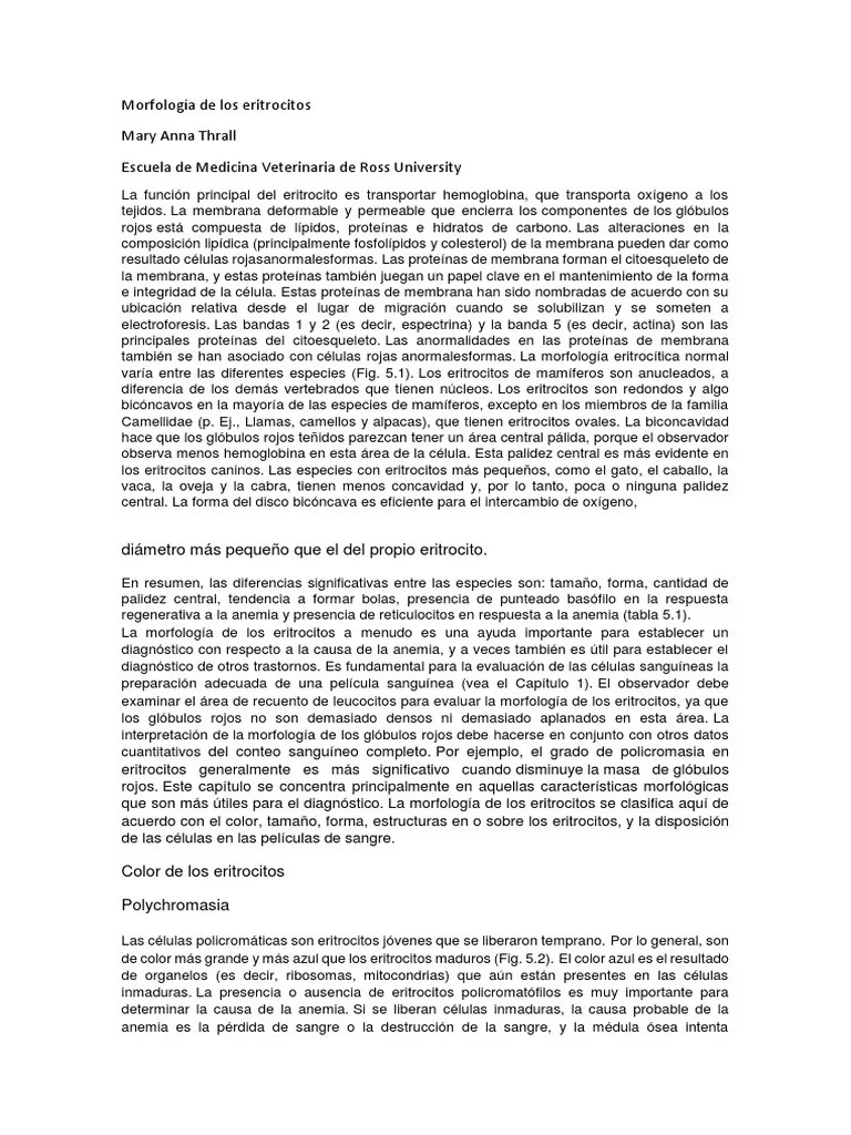 Morfología De Los Eritrocitos | PDF | Glóbulo Rojo | Sangre
