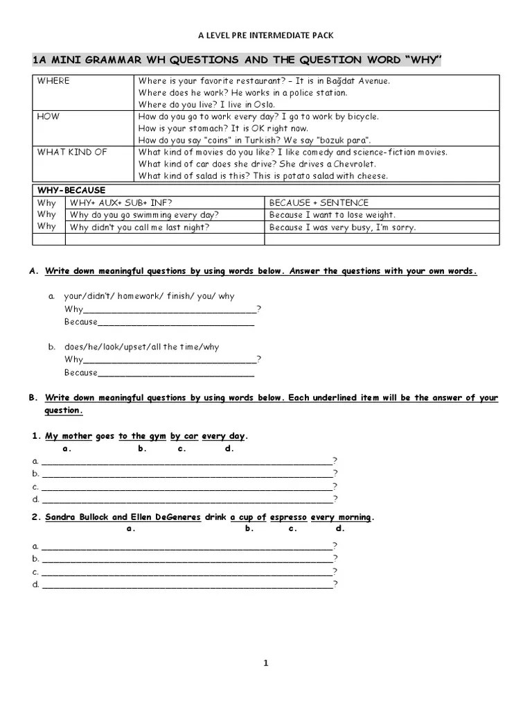 A Level Pin Grammar Pack Student's | PDF | Object (Grammar) | Verb