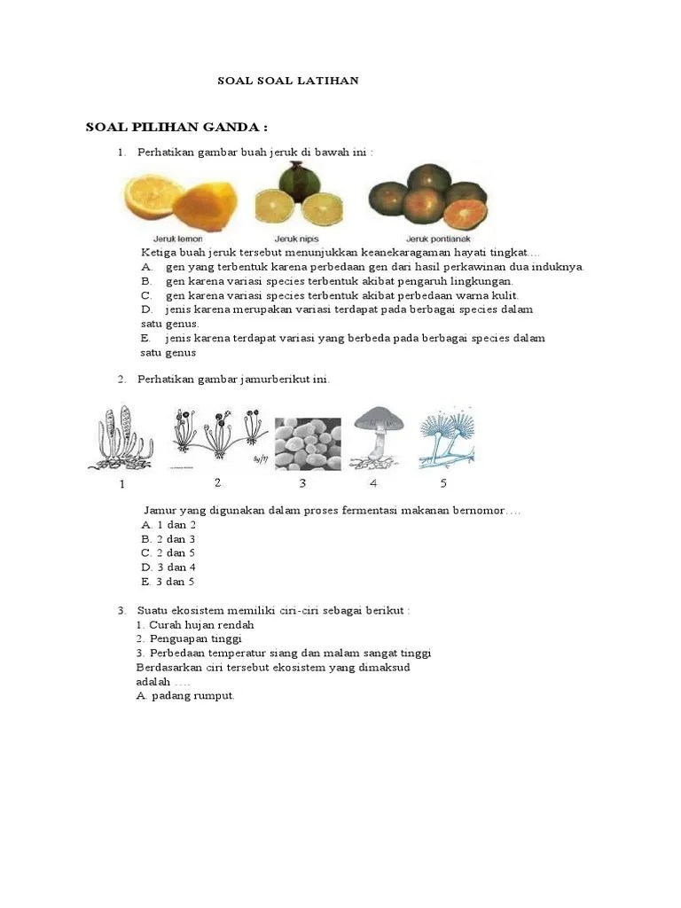 Latihan Soal Soal | PDF